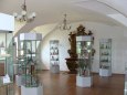 Za obzorem - region�ln� muzeum M�ln�k