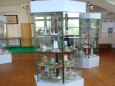 Za obzorem - region�ln� muzeum M�ln�k