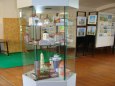 Za obzorem - region�ln� muzeum M�ln�k