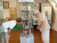 Za obzorem - region�ln� muzeum M�ln�k