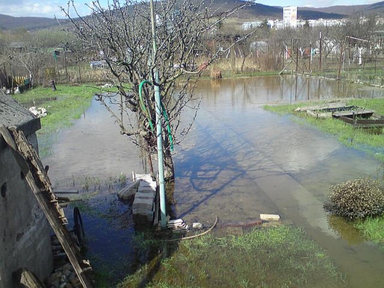 zahrada (Plná velikost v novém okně) zahrada