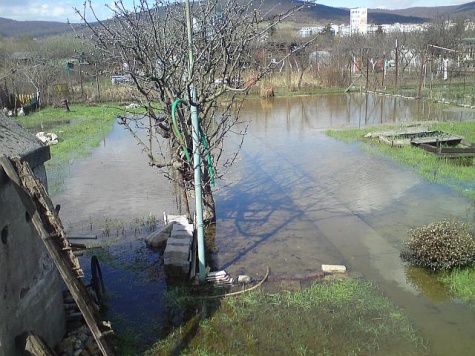 zahrada