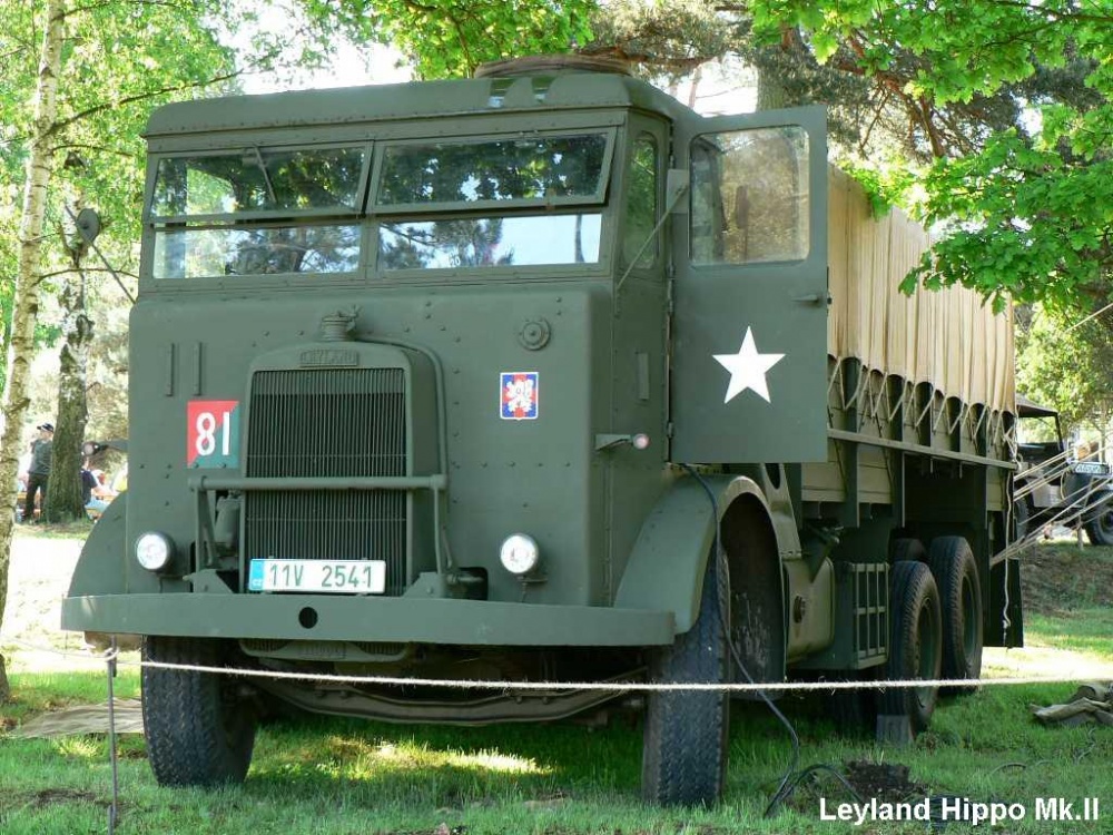 Ženijní den, Lešany (Plná velikost v novém okně) Ženijní den, Lešany