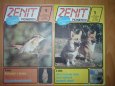 Zenit