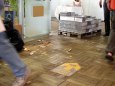 Zlat� kniha vyst�ihov�nek