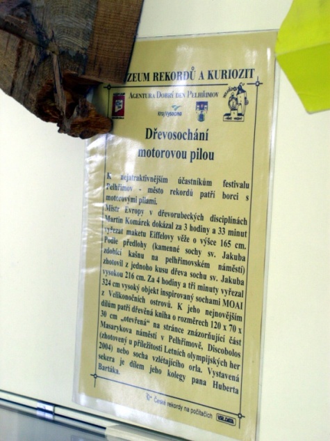 Zlat� kniha vyst�ihov�nek