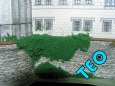 �LEBY