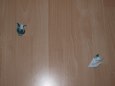 Zvonice kostela sv. Petra na Po����